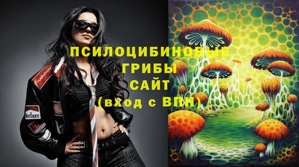 метадон Аркадак