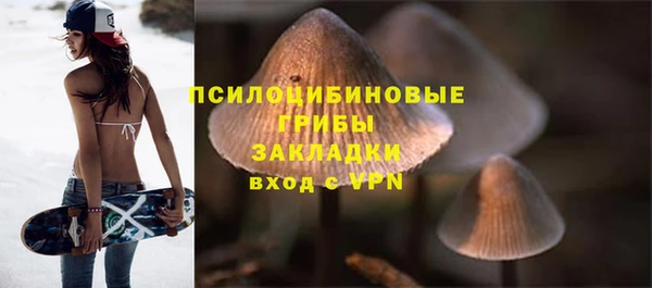 соль ск Арсеньев