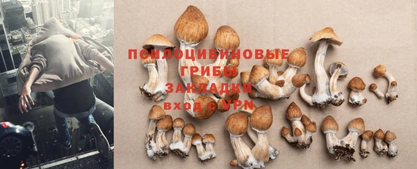 соль ск Арсеньев