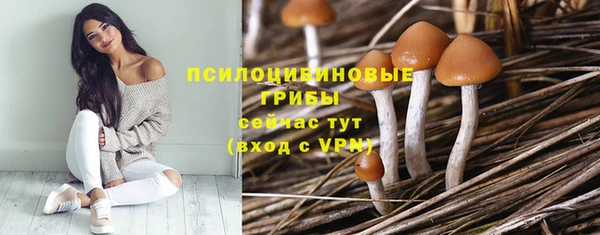 метадон Аркадак