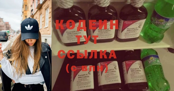 соль ск Арсеньев