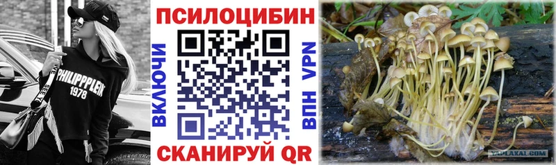 KRAKEN рабочий сайт  Николаевск  Псилоцибиновые грибы Psilocybine cubensis 